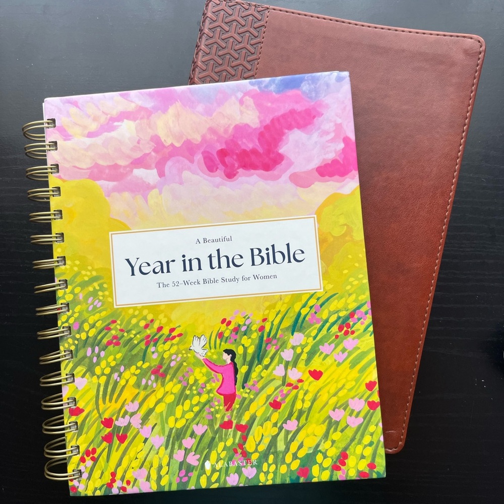 A Year in the Bible study and CSB study Bible bundle